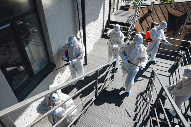 Best Mold Remediation for Healthcare Facilities  in Montrose, PA
