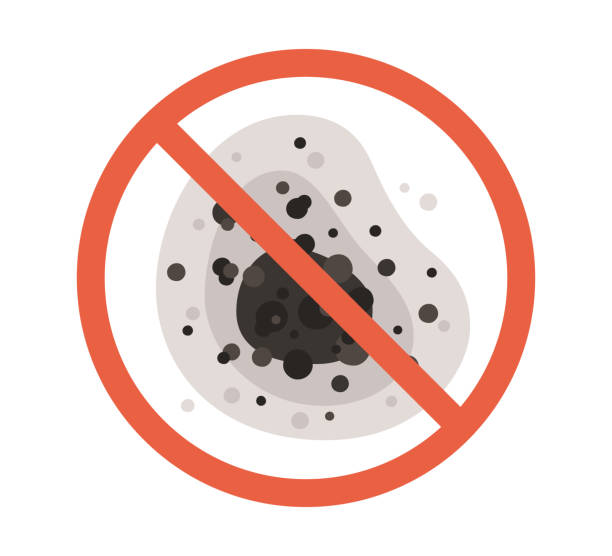 Best Emergency Mold Remediation  in Montrose, PA